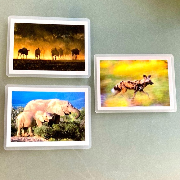 Vintage Safari Photo Magnets Set of 3 South Africa - Picture 6 of 6